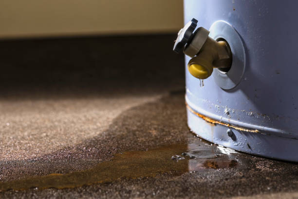 Best Water damage restoration services  in Lame Deer, MT