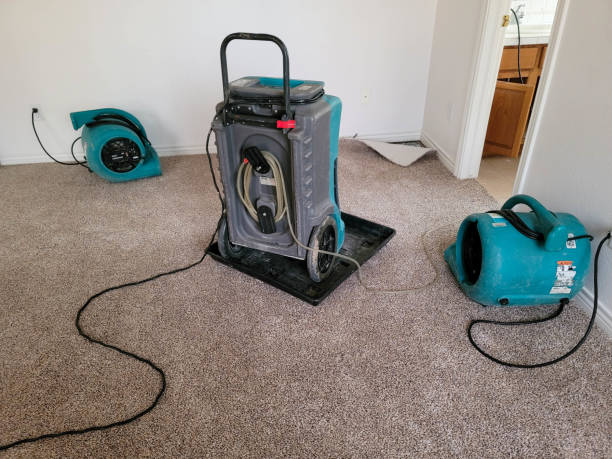 Best Emergency water damage restoration  in Lame Deer, MT