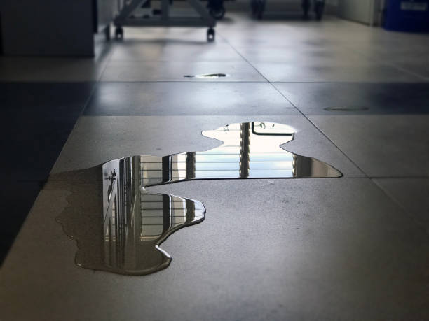 Best Water damage restoration near me  in Lame Deer, MT