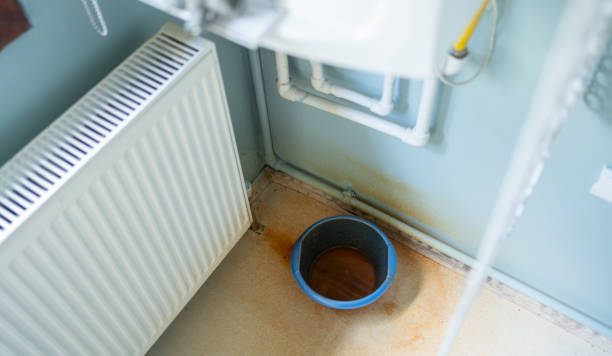 Best Water damage contractors near me  in Lame Deer, MT