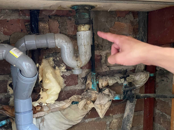 Best Water damage cleanup near me  in Lame Deer, MT