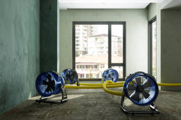 Best Emergency water damage restoration  in Lame Deer, MT
